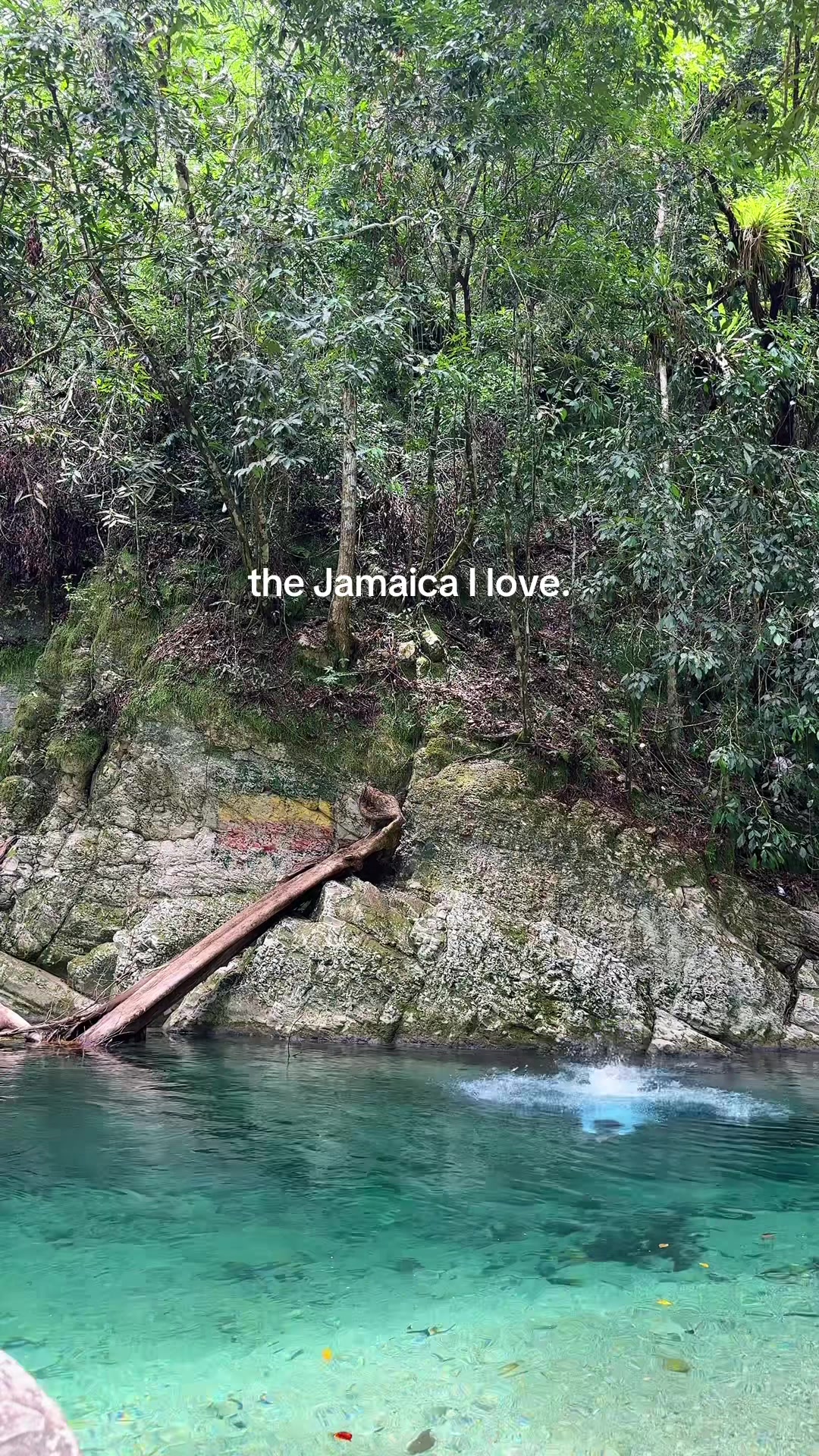 @Justin 🇯🇲