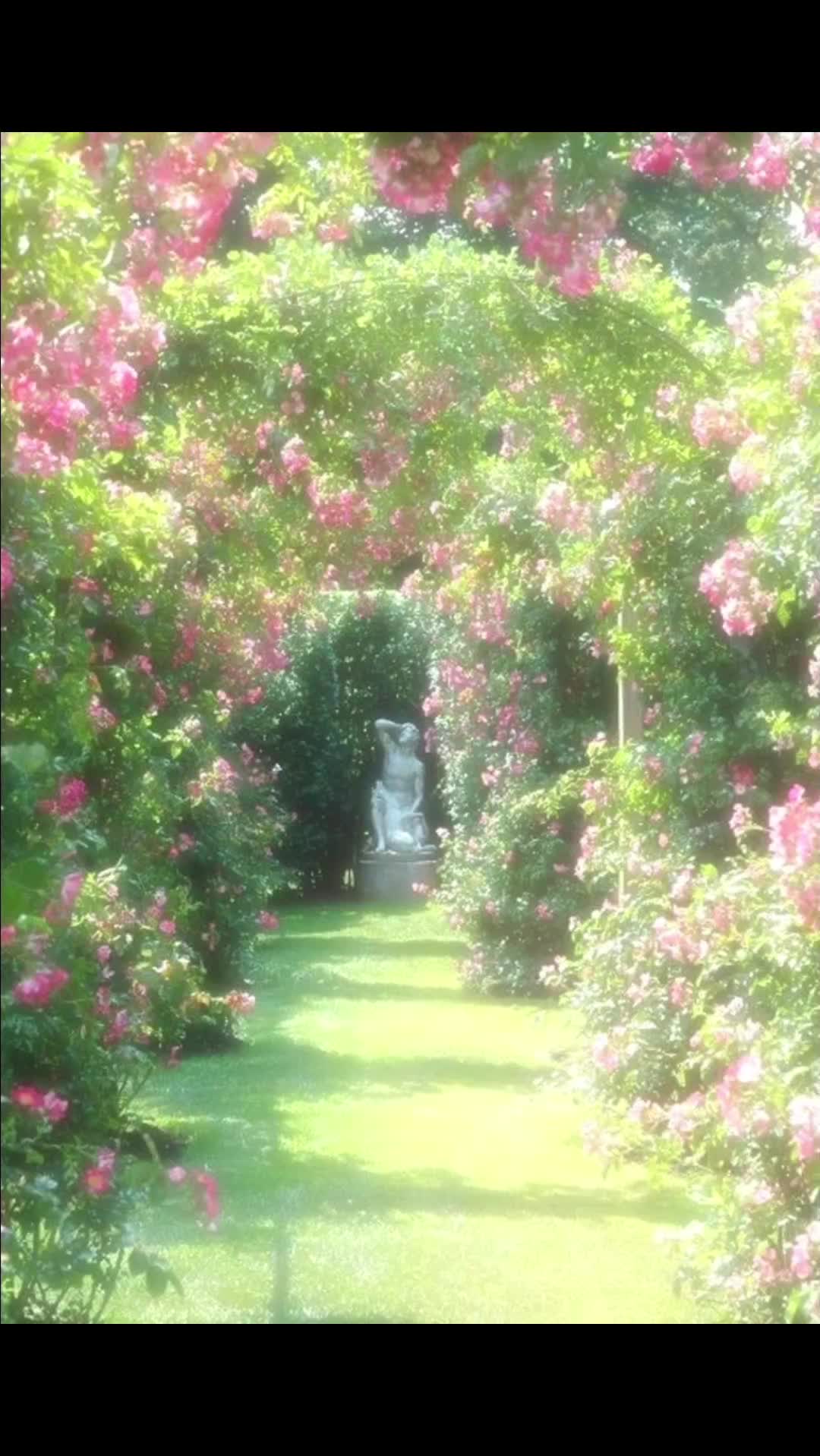 @🌺🌸☆~Spades~☆🌸🌺
