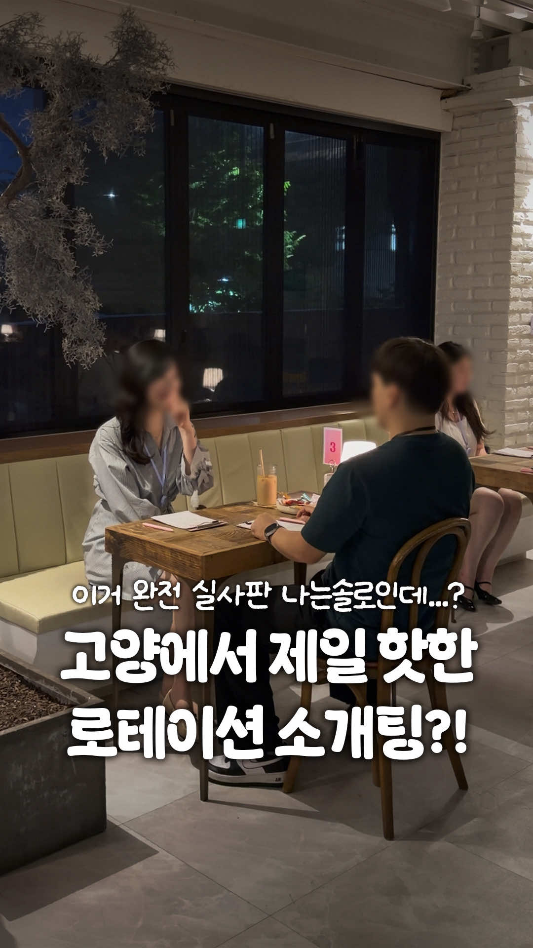 @일산갈고양