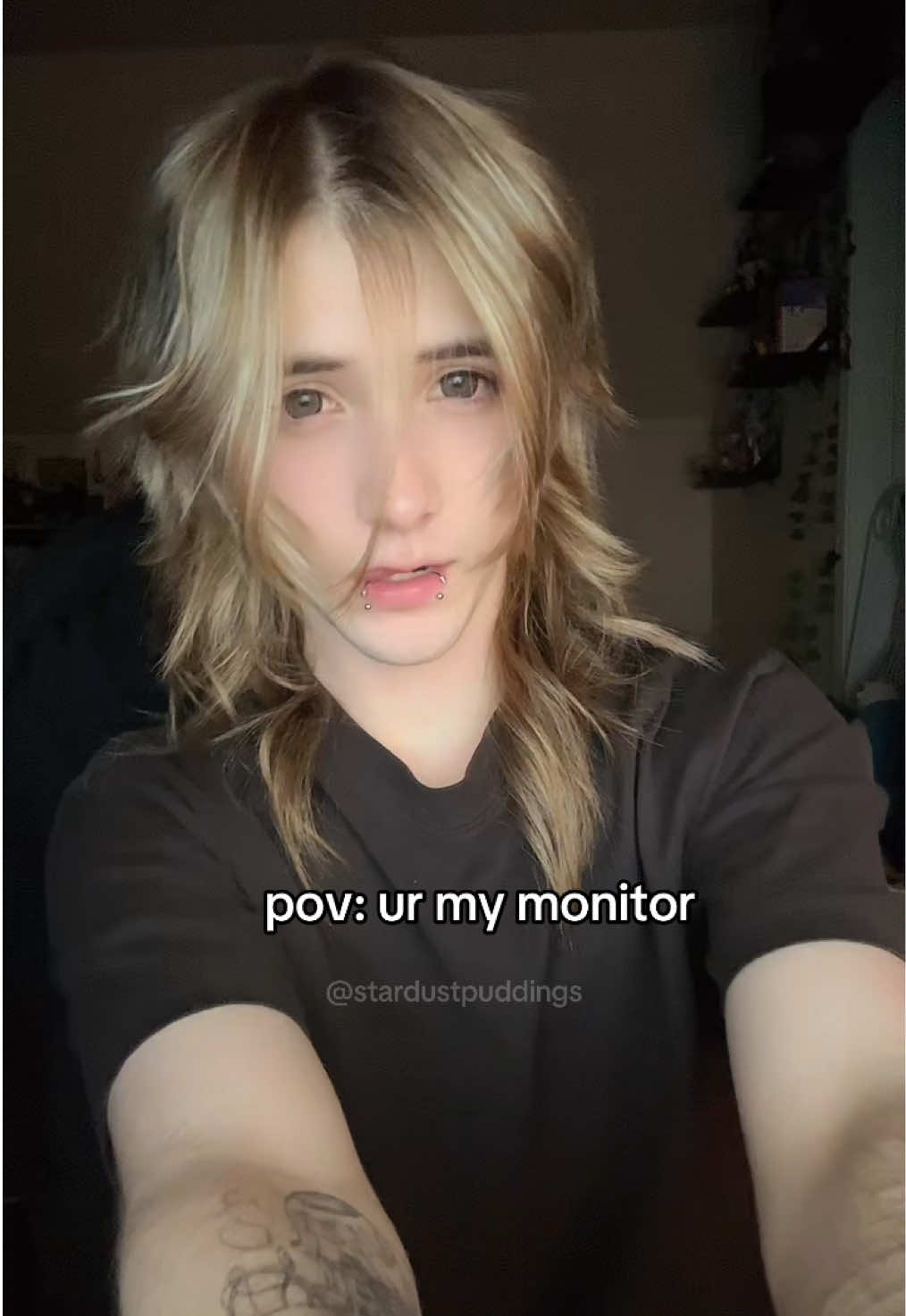 @stardustpuddings