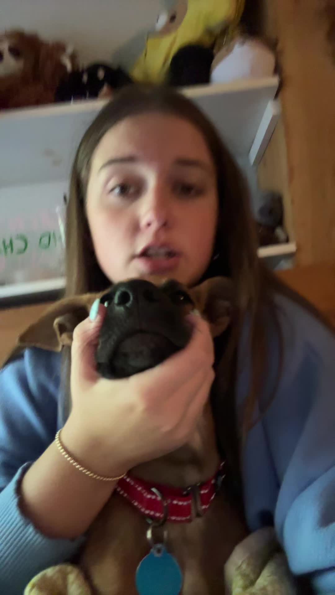@frankie