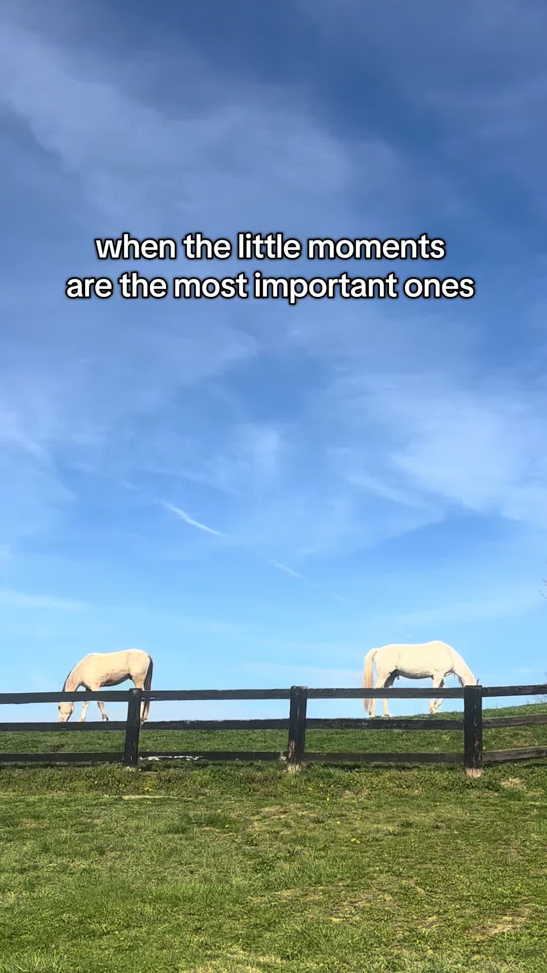 @Annie