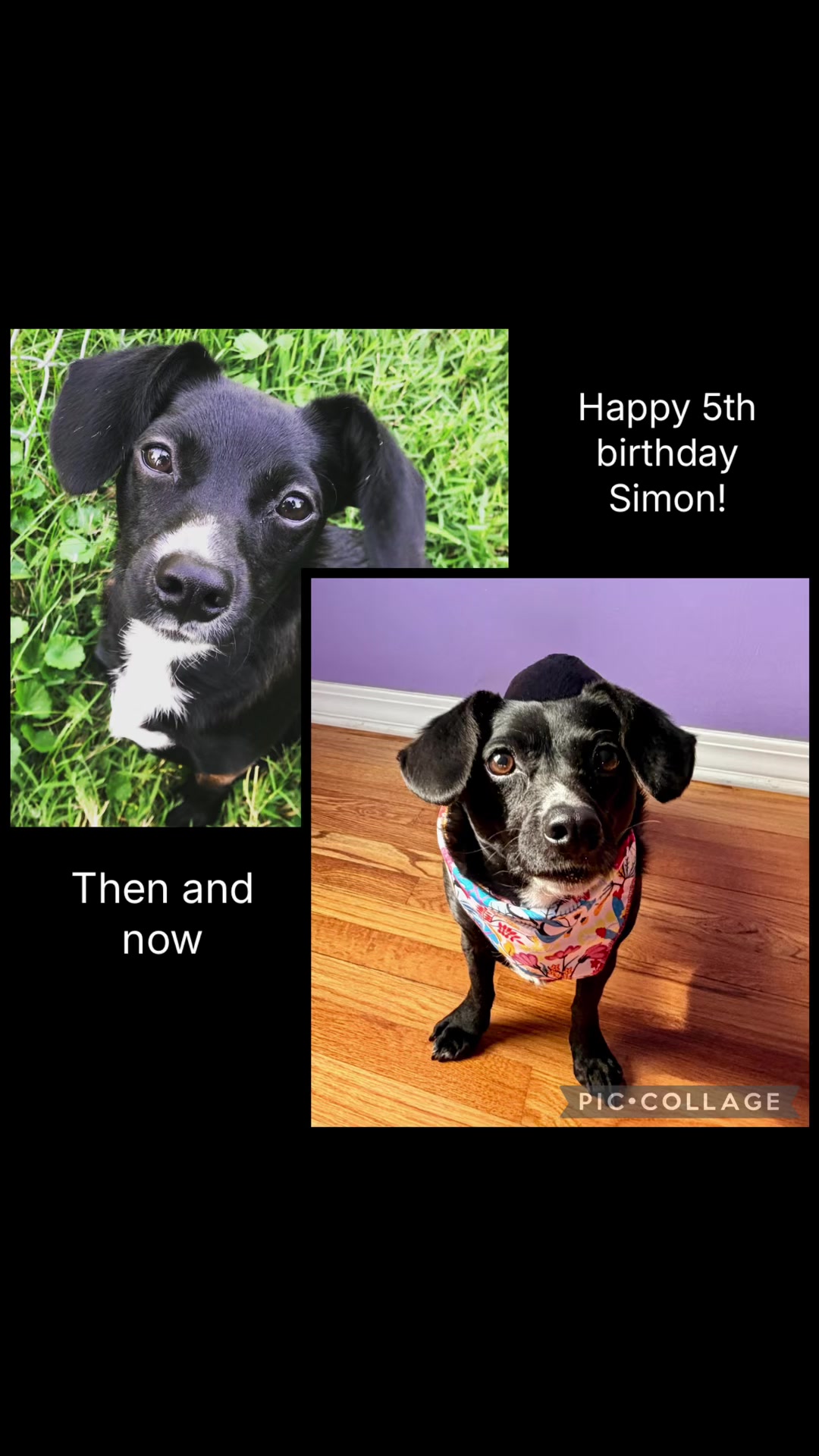 @snickers_and_sidekick