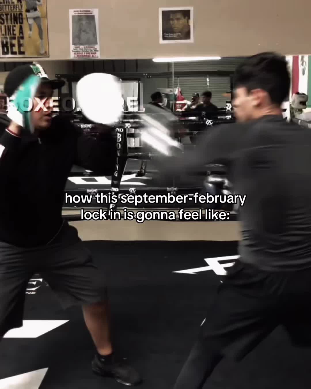 @boxeo.core