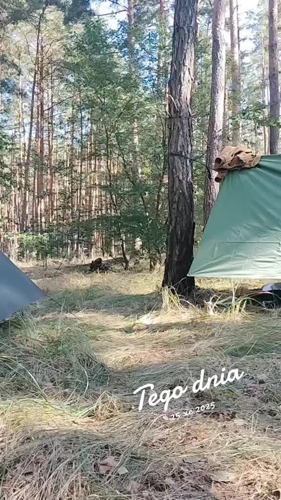 @Zielsko Szeptuchy