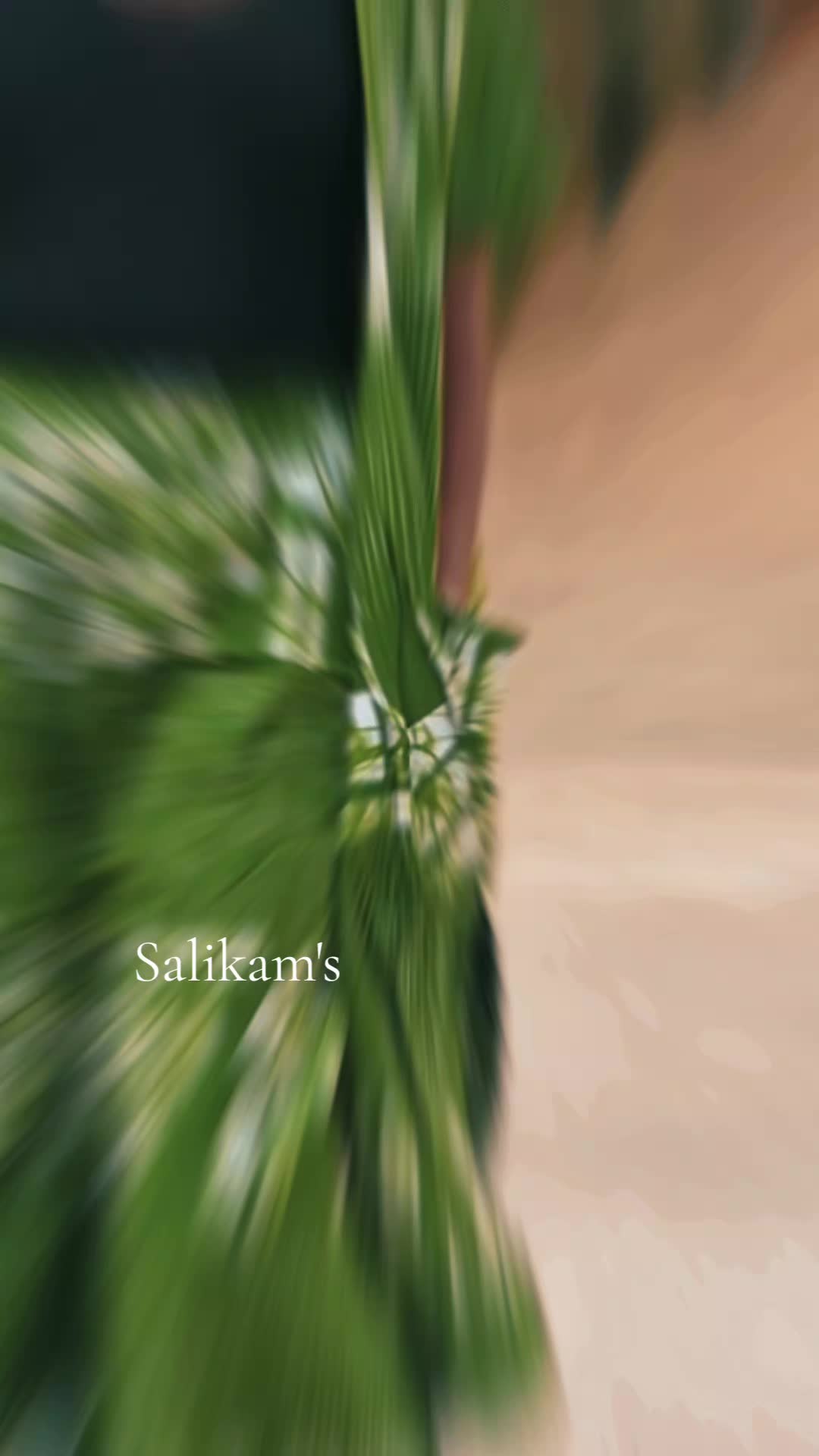 @SaliKam's