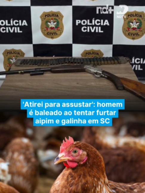 @portalndmais