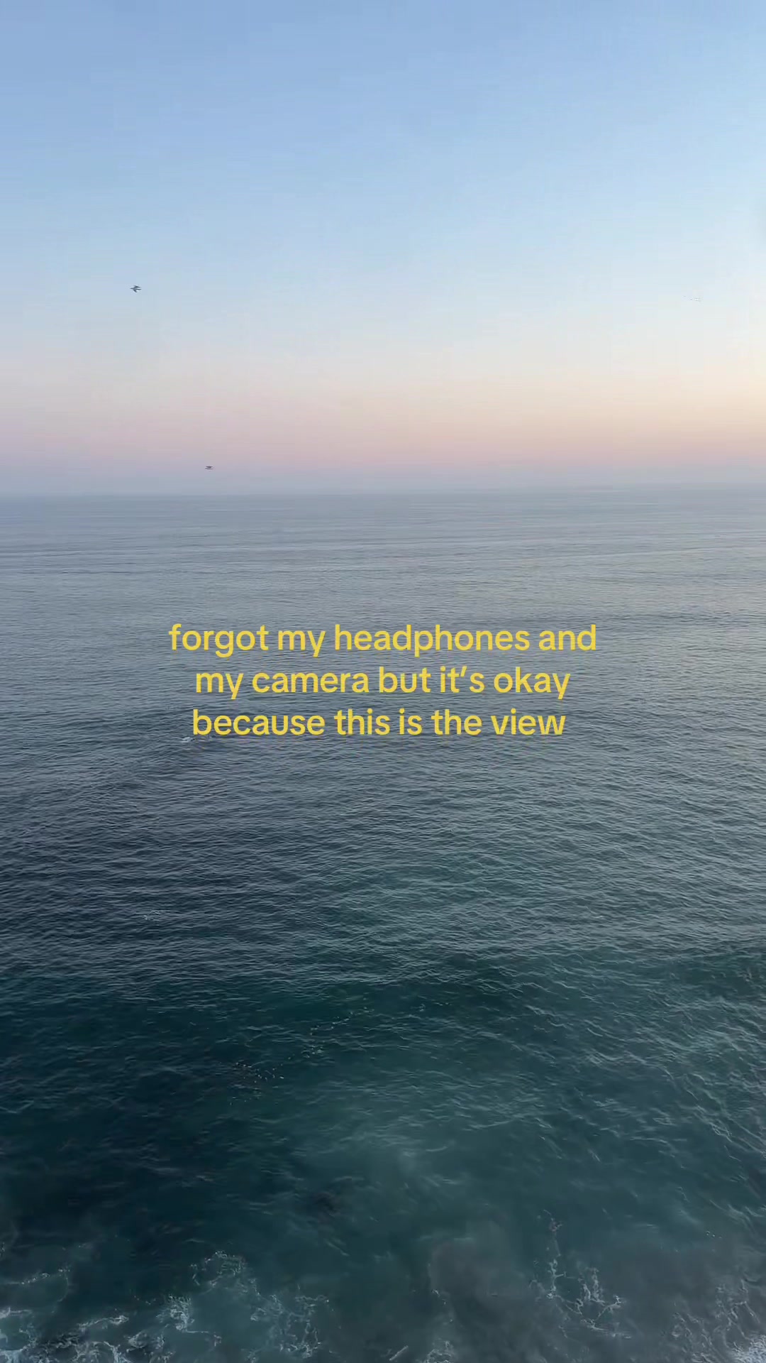 @riley rae