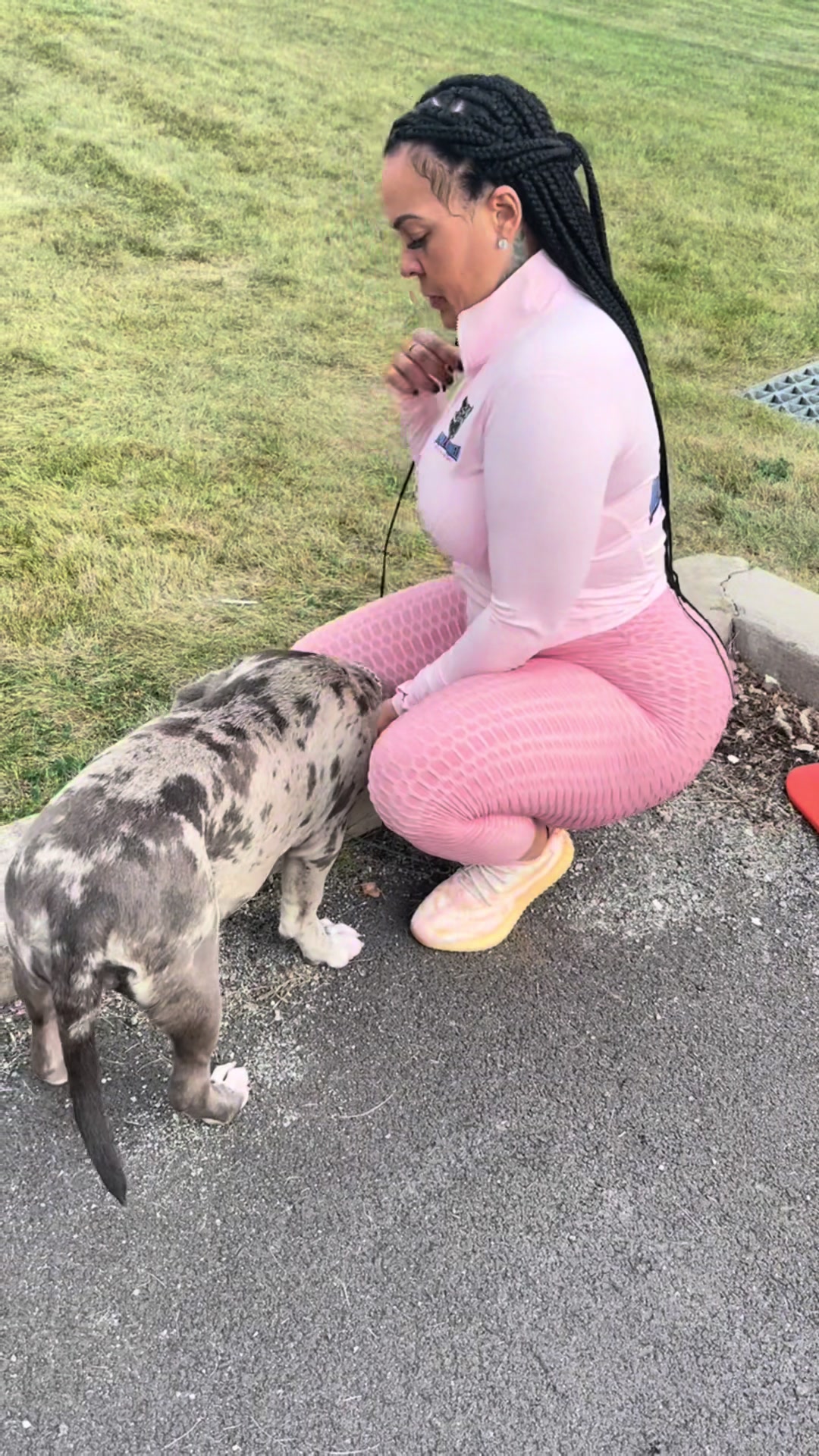 @Alpha Z Kennels