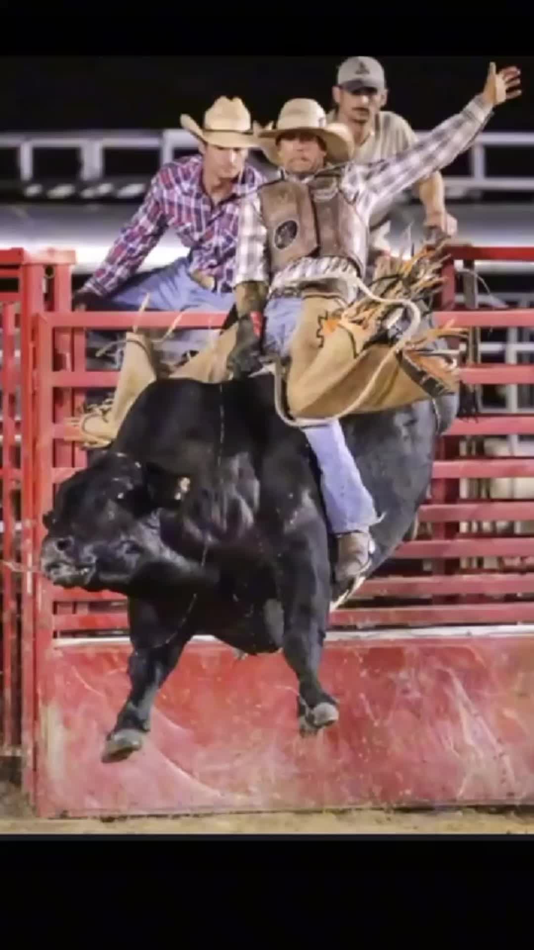 @RickyRingerDaBullStinger