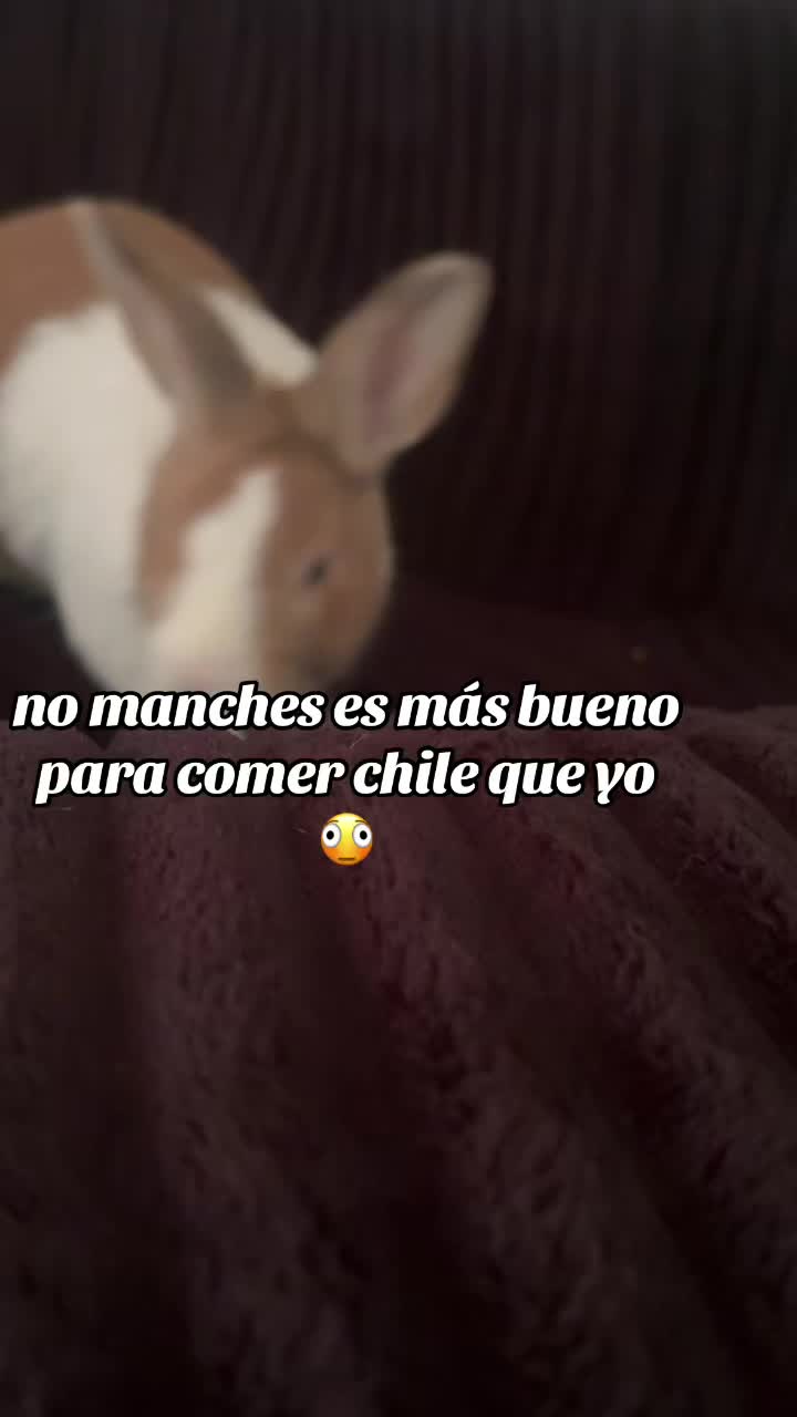 @Araceli Mireles 💙