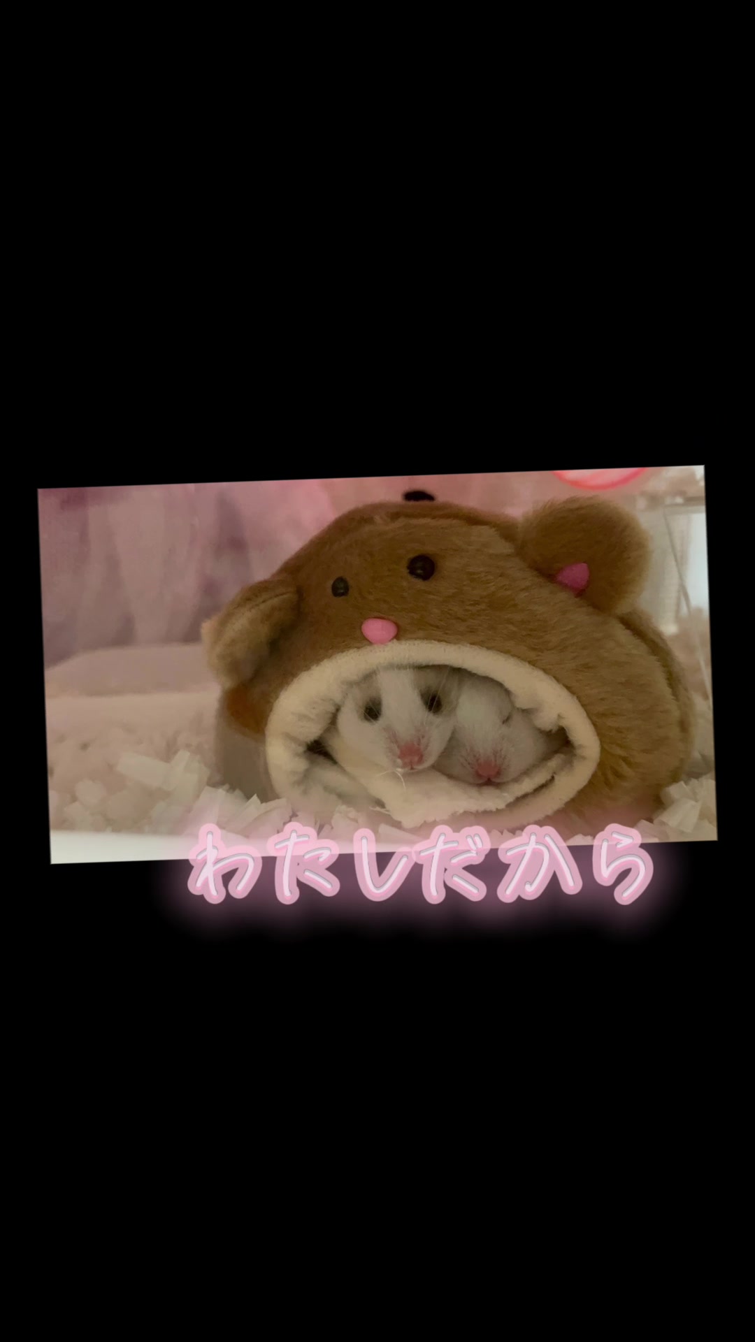 @田舎のネズミ