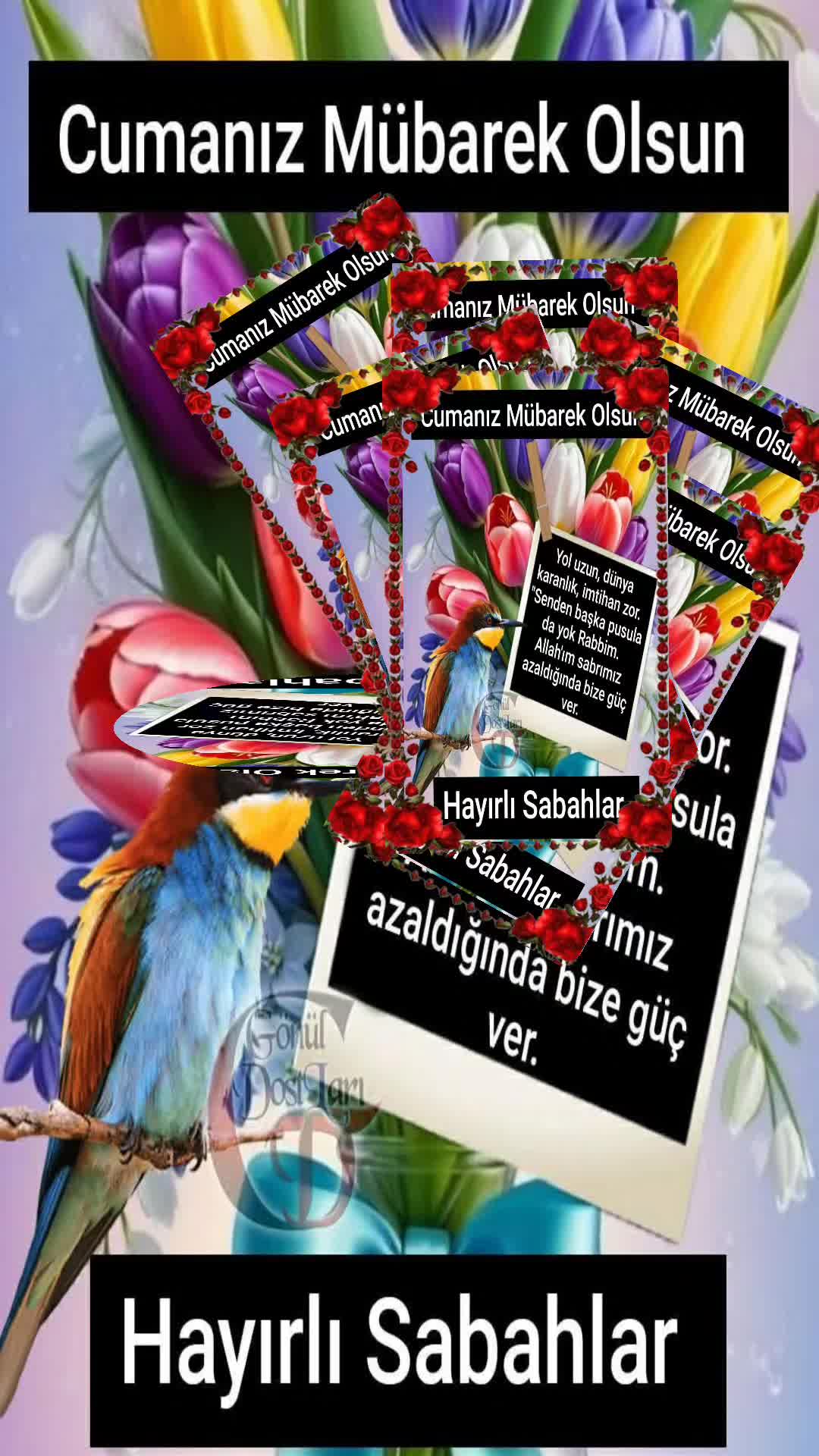 @Tennur yılamaz