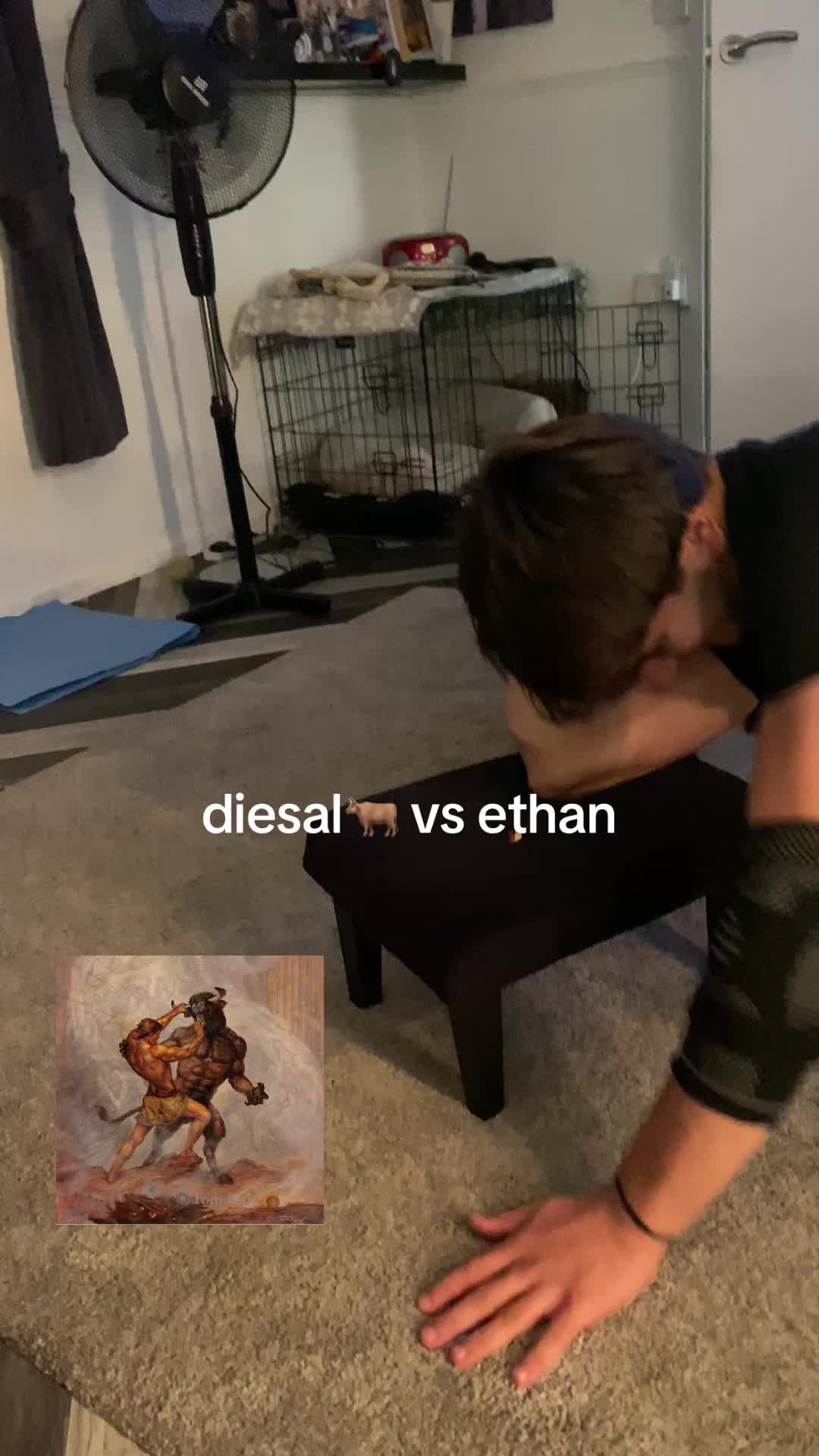 @ethantren 🦇
