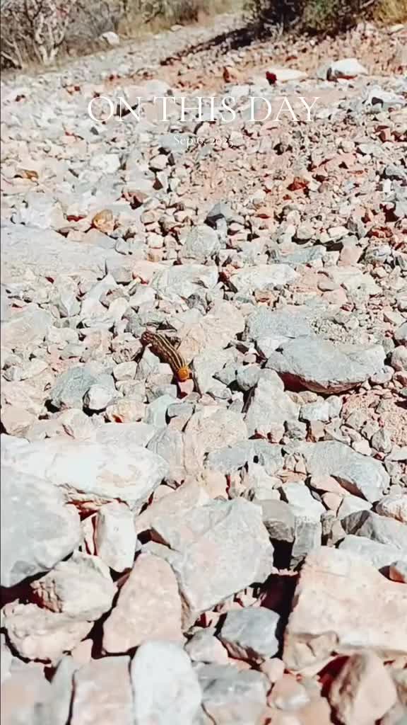 @KAR