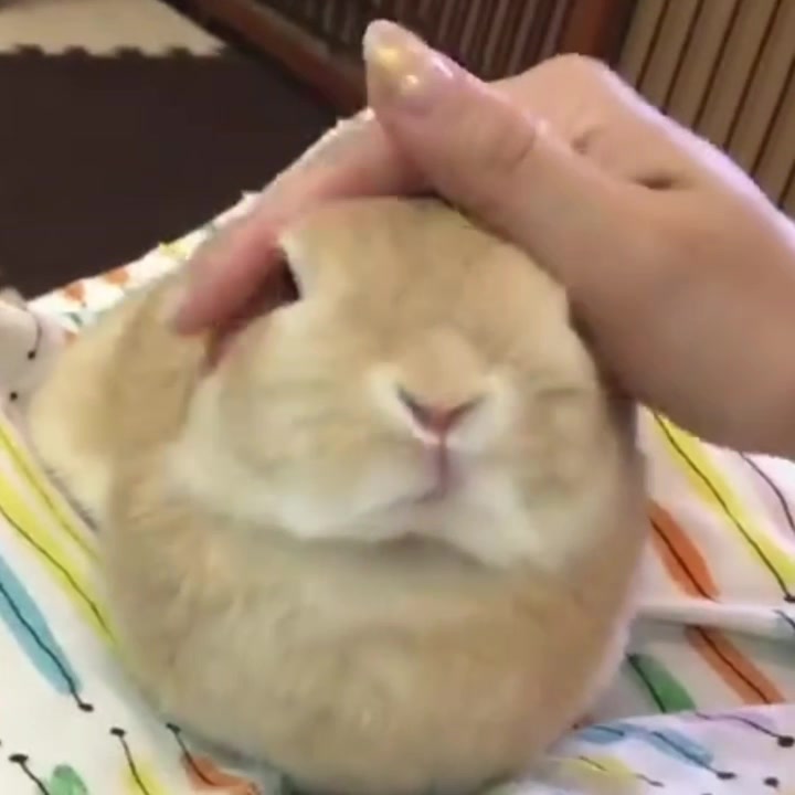 @Мурка