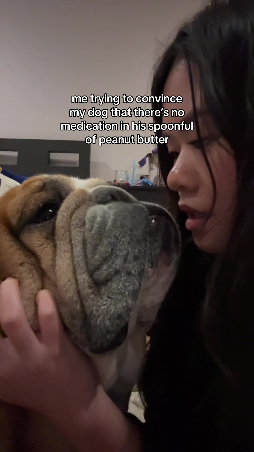 @Reggie the Bulldog