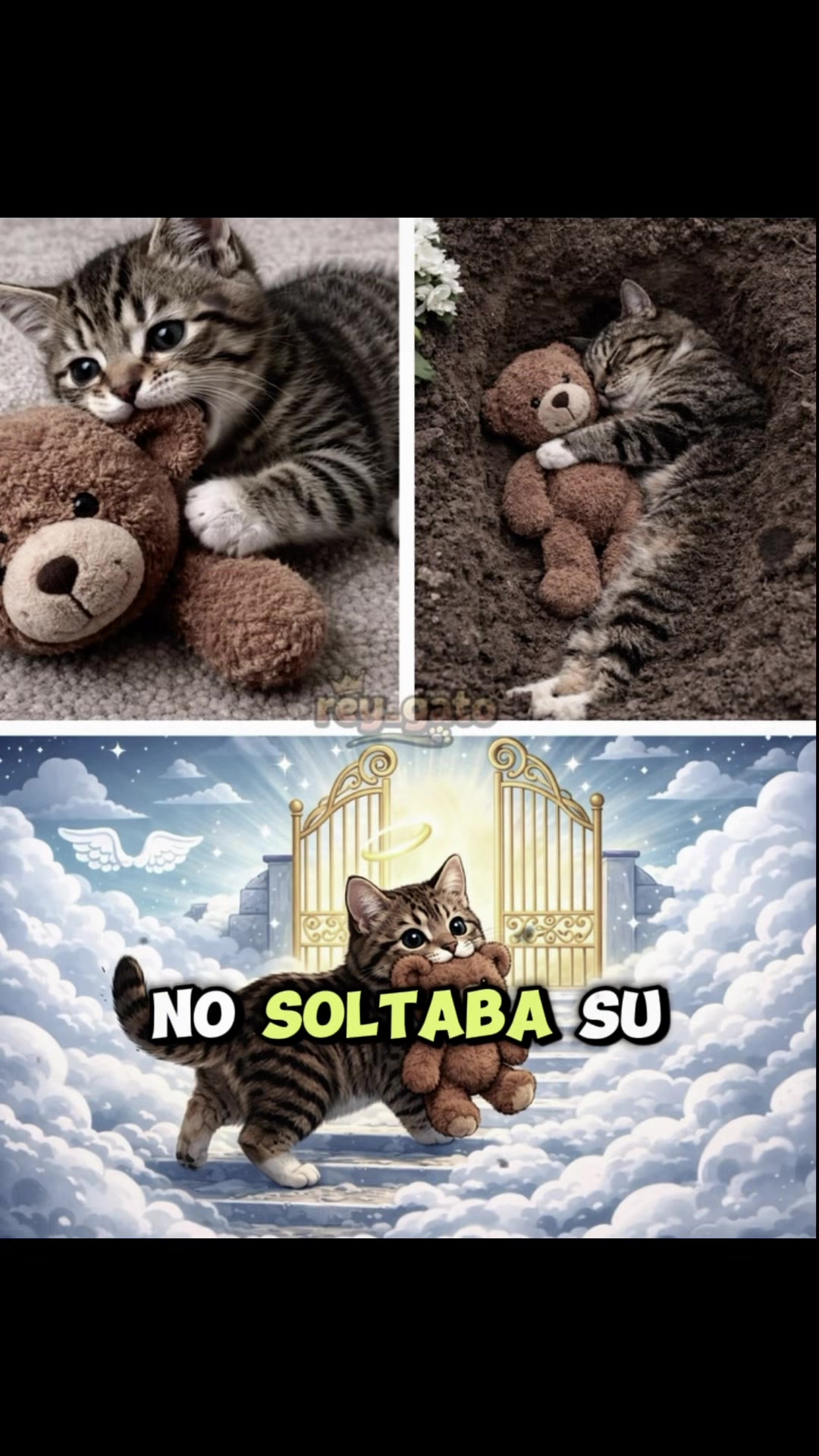 @Hector M Solorzano