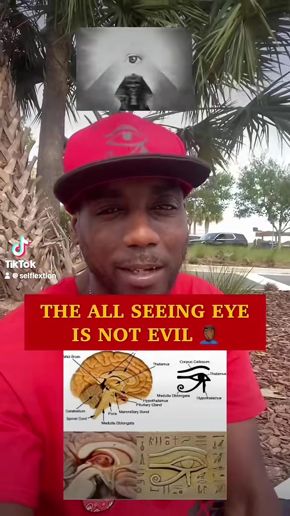 @Selflextion