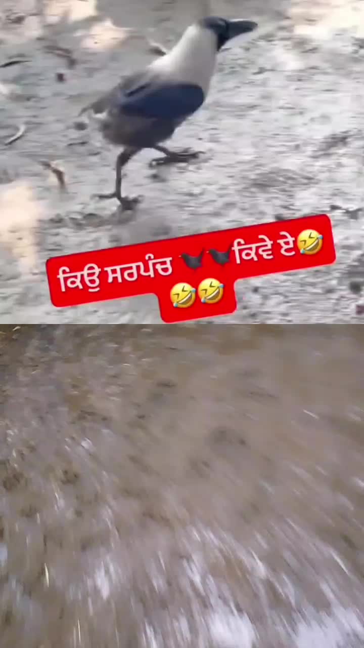 @ਭੰਗੂ ਸਾਹਿਬ