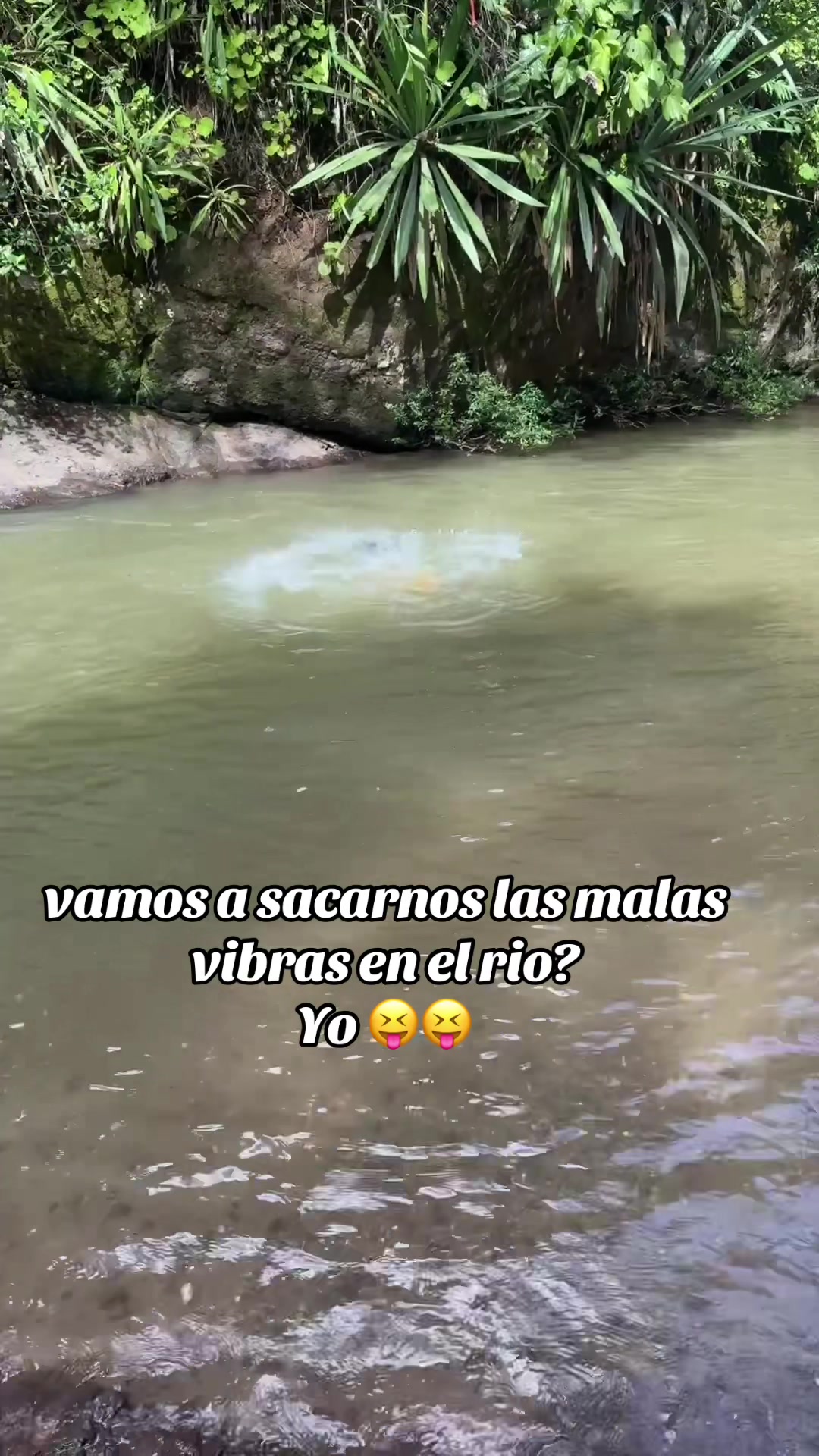@@labombom11