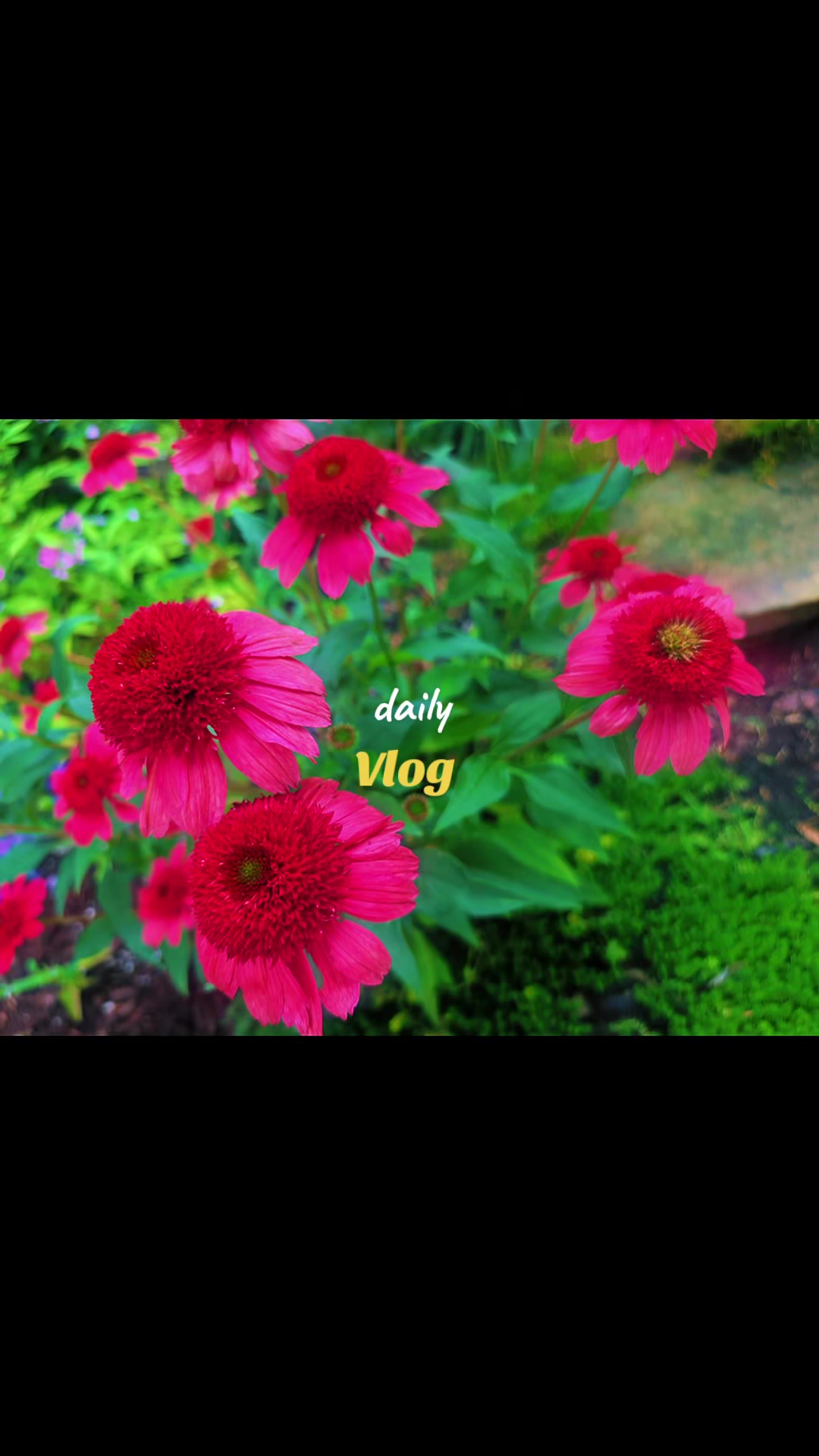 @LauraArtfulNature✌️💜🖌️🎨🌎🦋