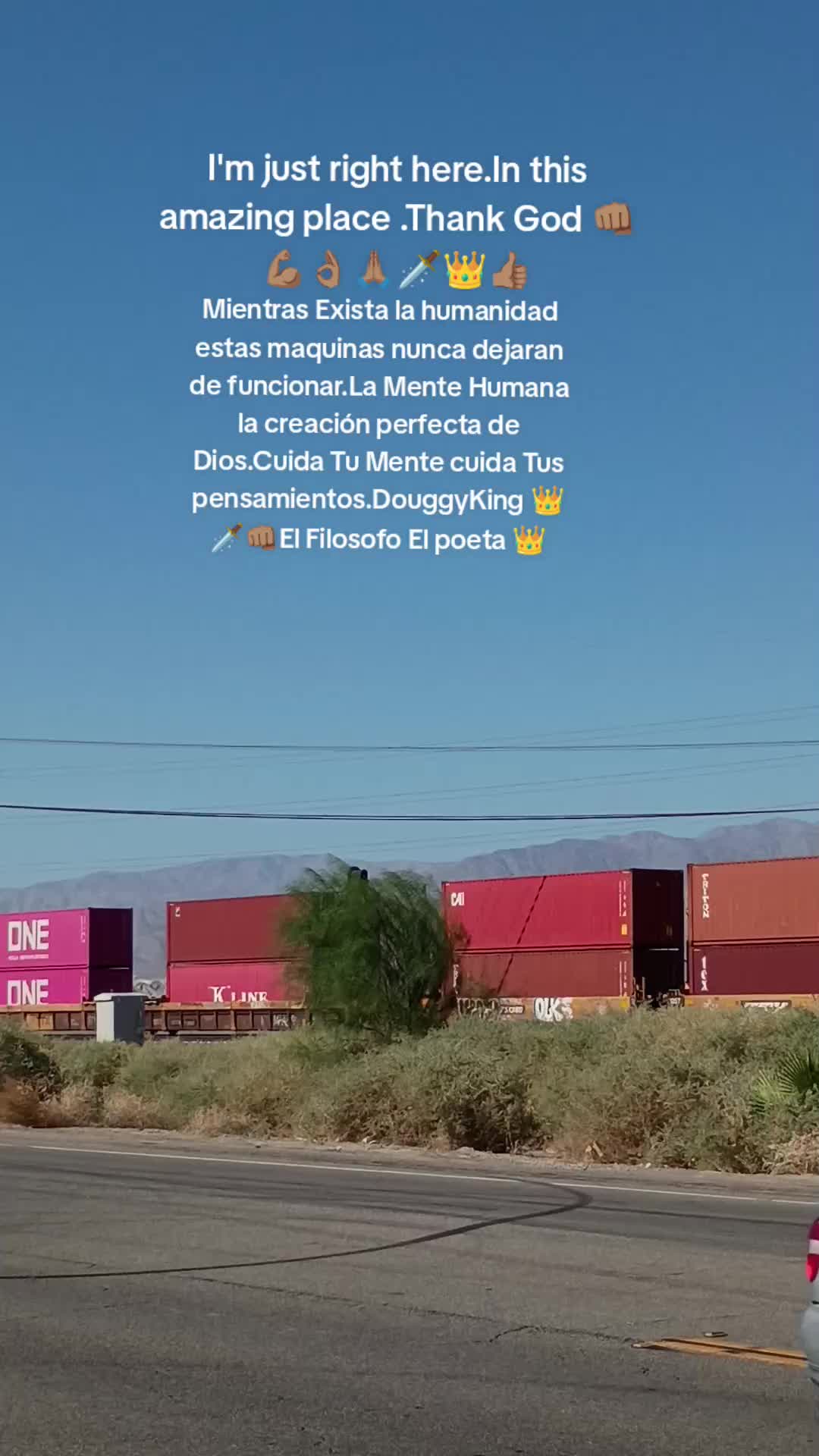 @🤴🏾🇺🇲DouggyKing🇺🇲⚔️🏰🐺🐻