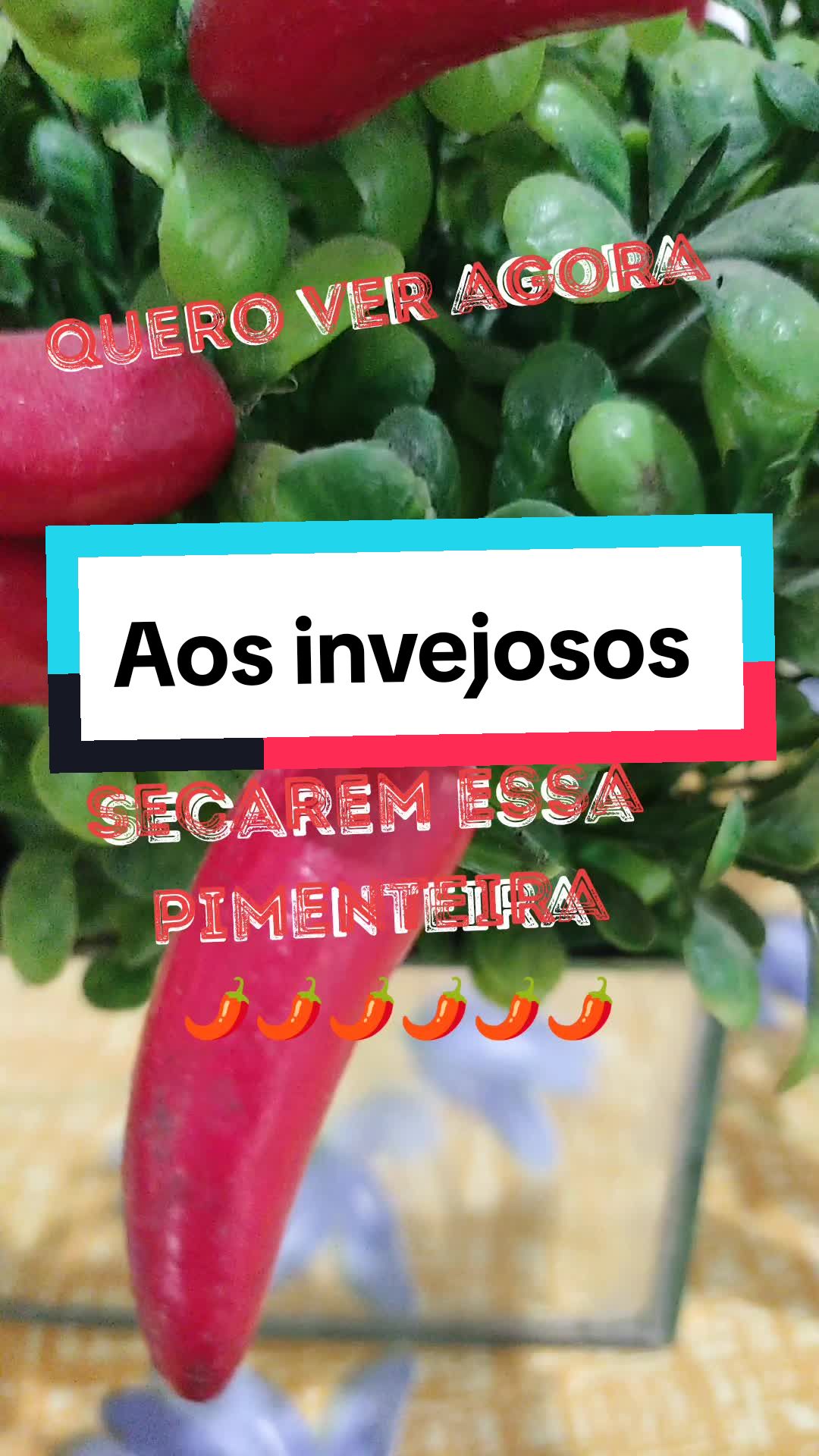 @Br@instorm 🇧🇷