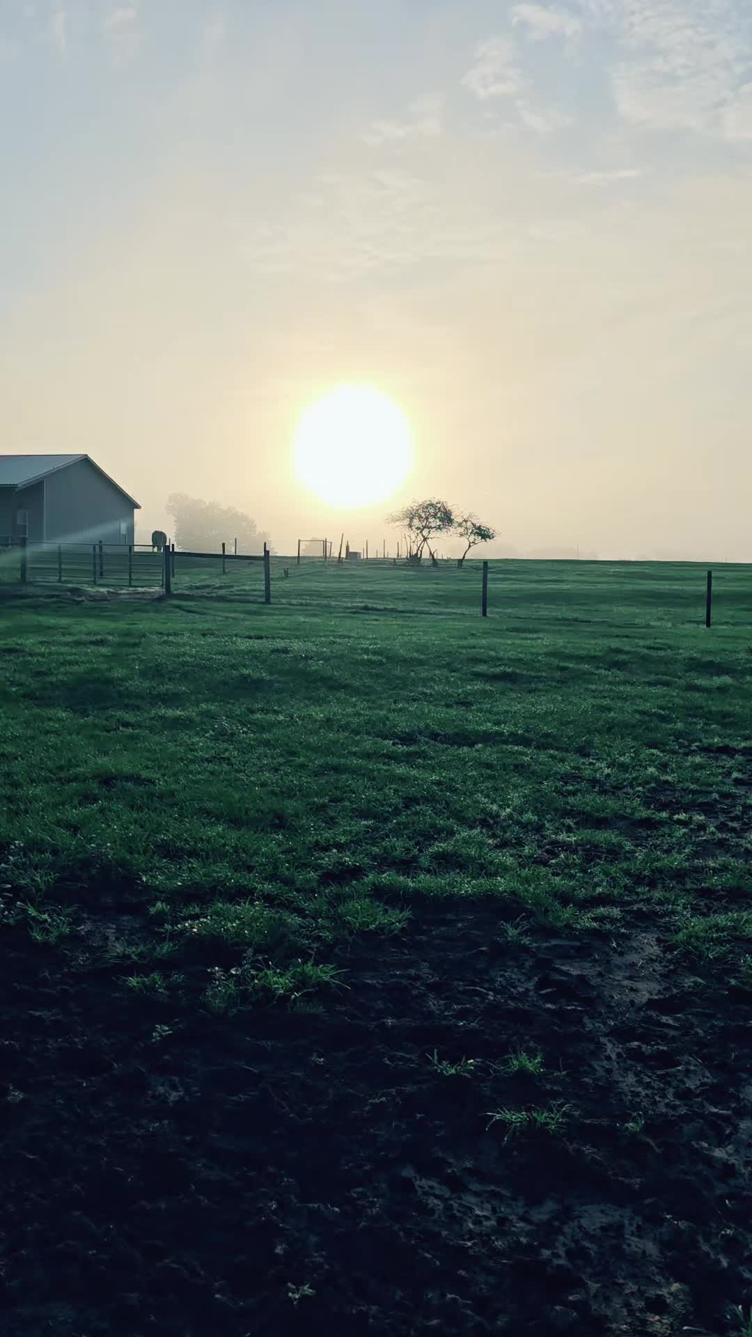 @M.I. CATTLE CO.
