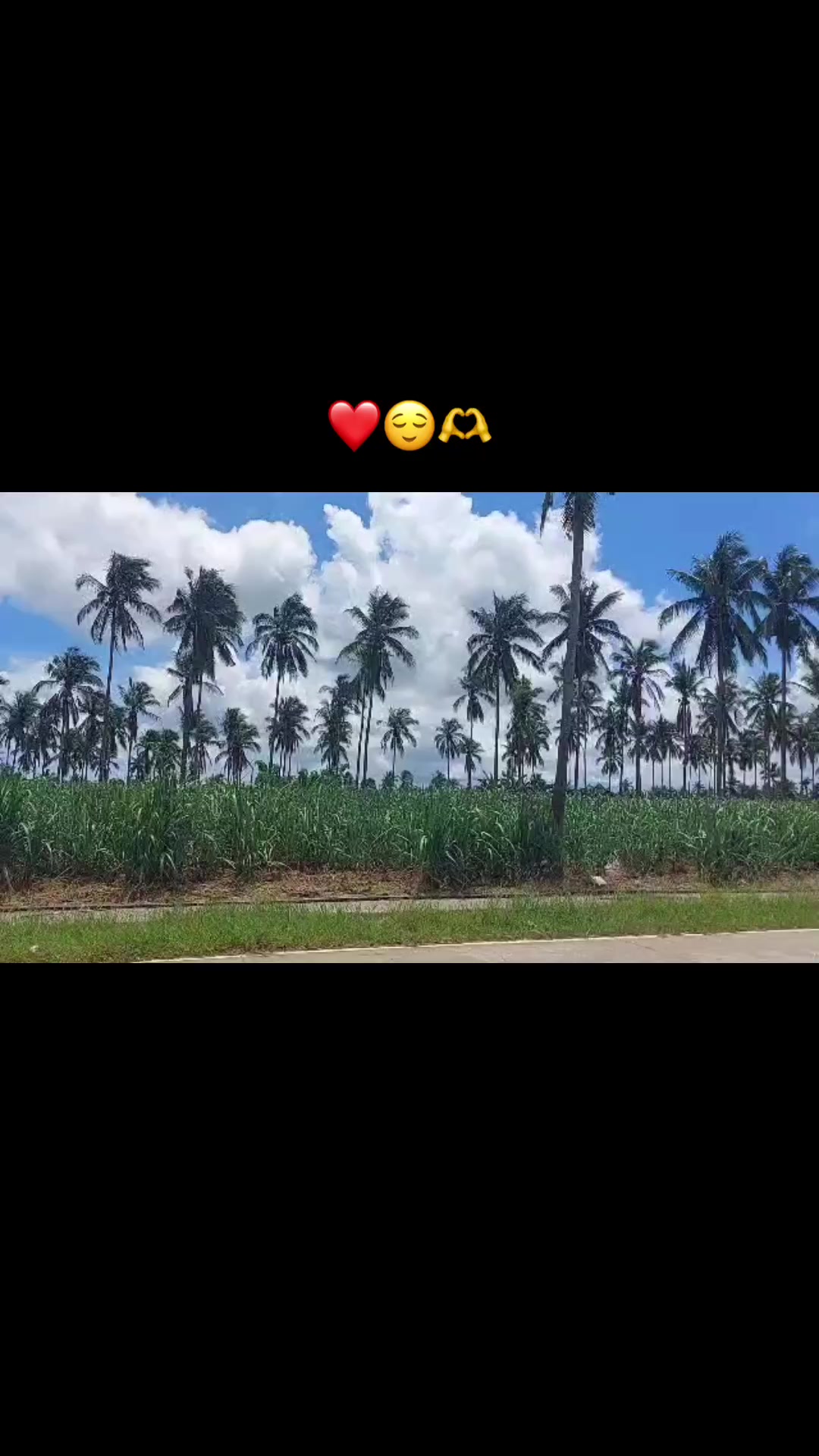 @KMDS🦋