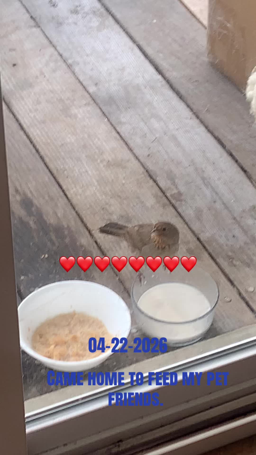 @naisae4