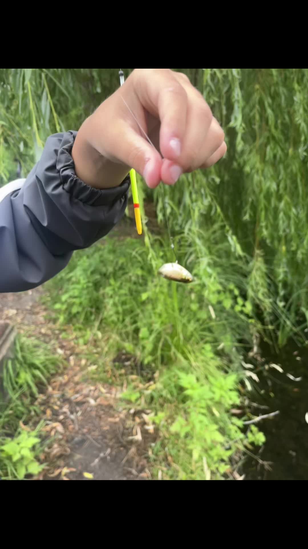 @Evro39🎣