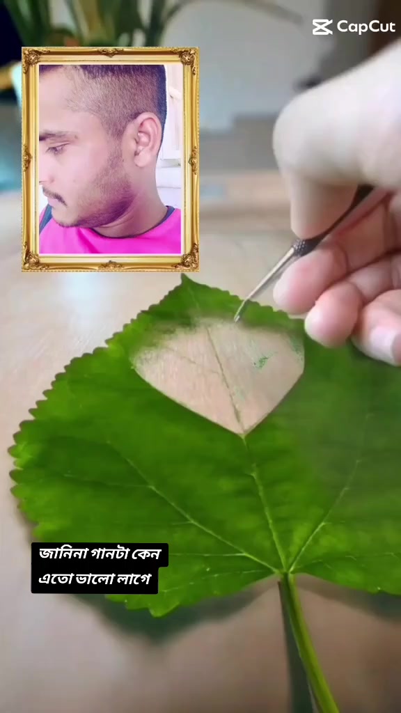 @ŇÃ$îR•ÙDDï•N💞💲 🇧🇩✈🇰🇼