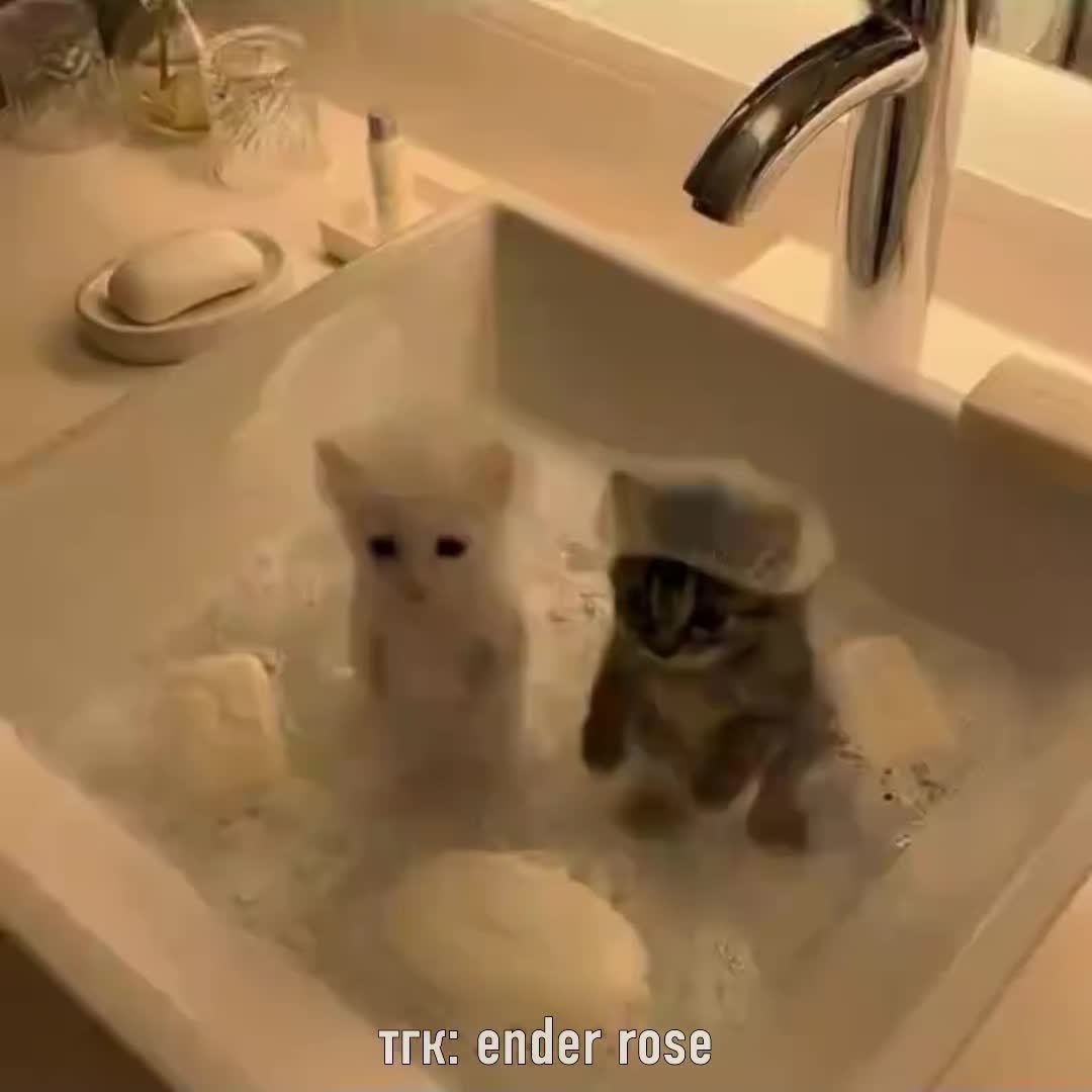 @Ender Rose