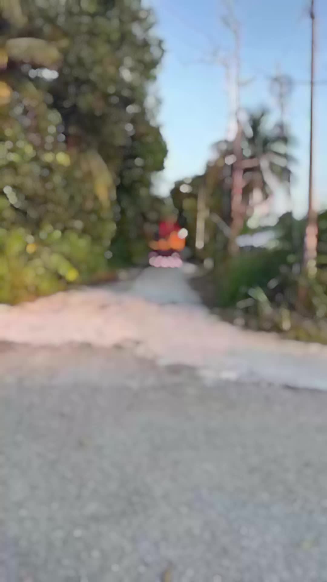 @Kecek Sajo Takdok Guno