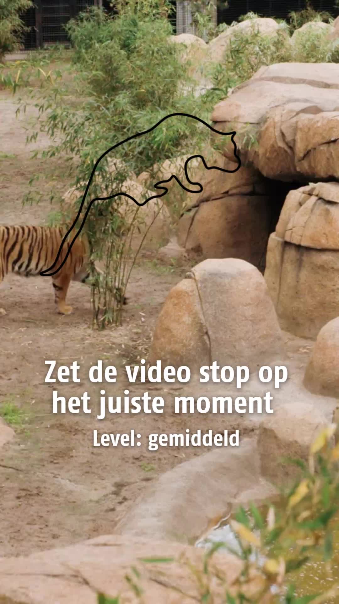 @Dierenpark Hoenderdaell