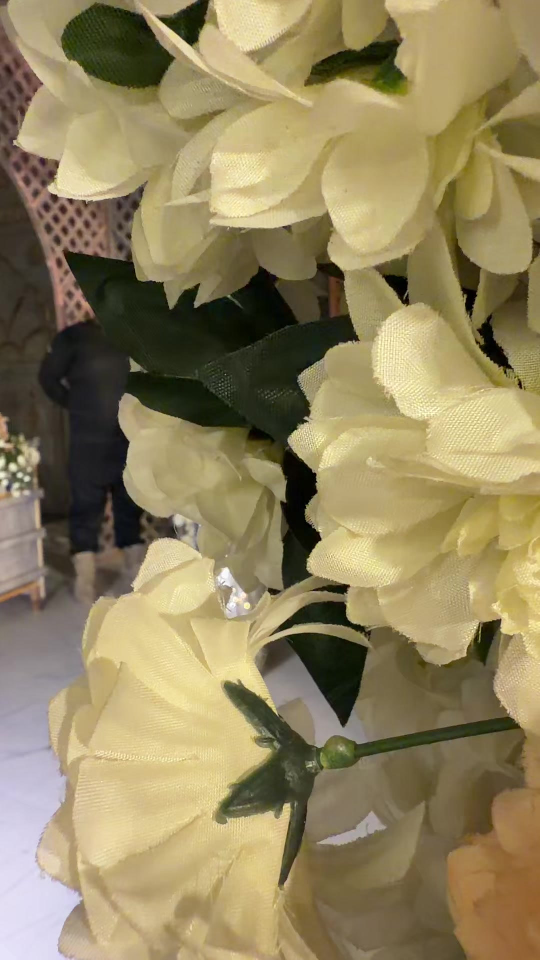 @Urwa Khan