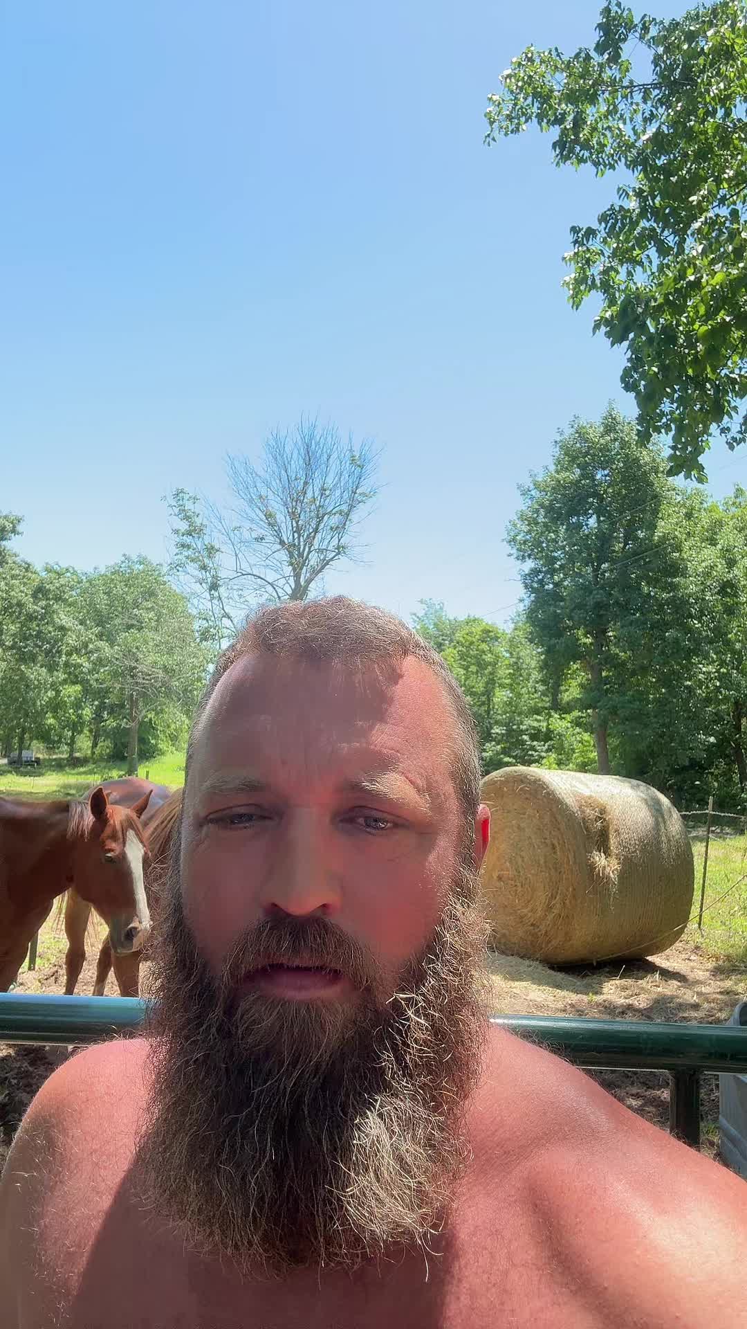 @Rufus The Bull