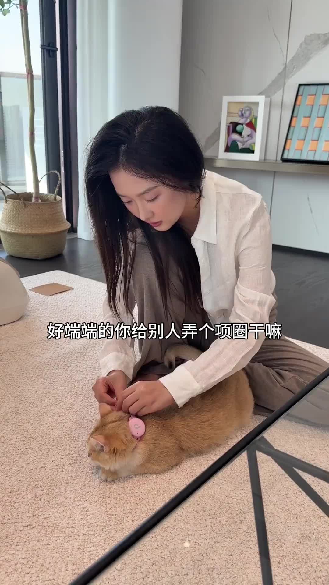 @牟牟刘啊