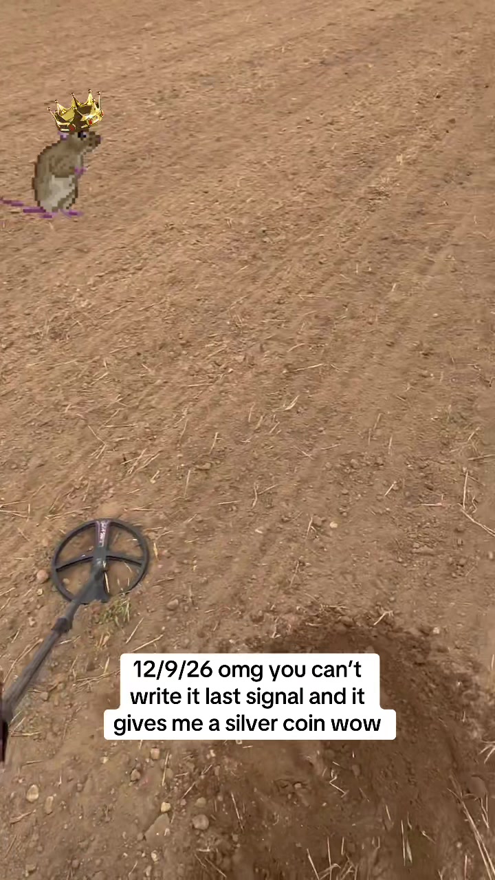 @SirKingRat