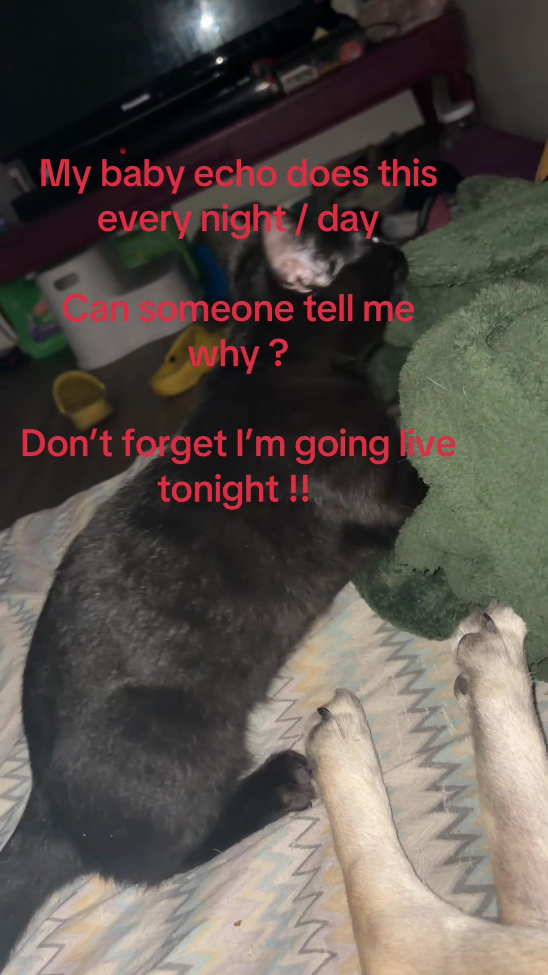 @Macdaddyhersh