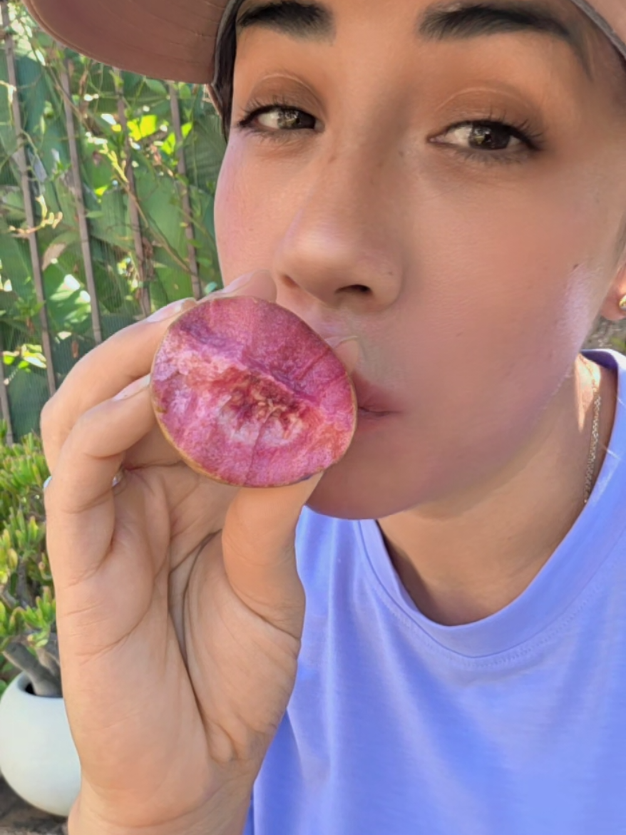 @๐ผ๐ ๐๐๐ฃ๐๐๐๐๐๐๐ ๐ช๐