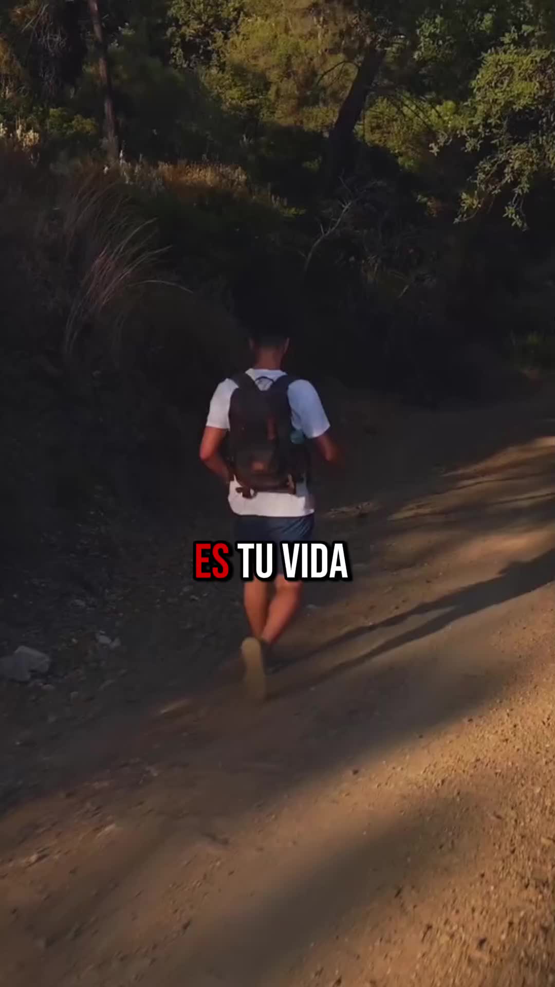 @Pedrocc189💯🤛