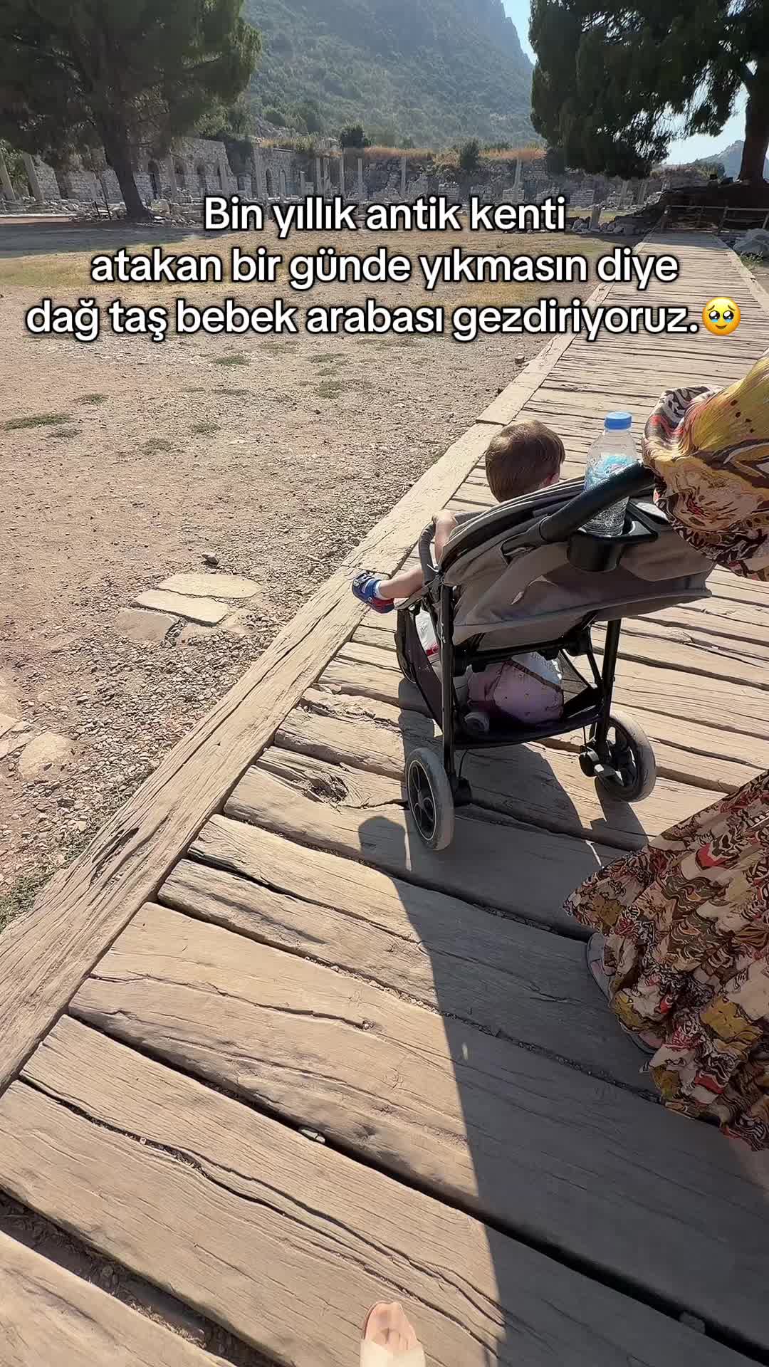 @seher neumann