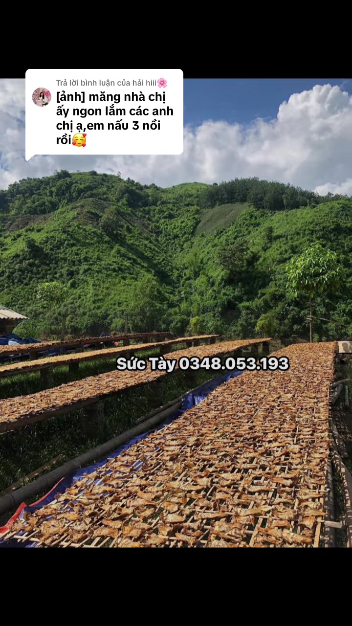@Sức T&agrave;y