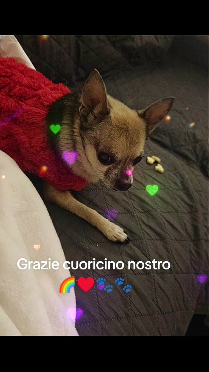 @Francesca Colella