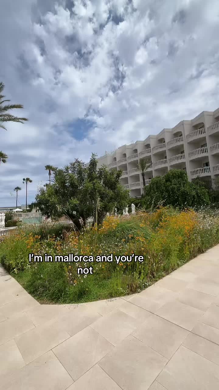@firdoshalt
