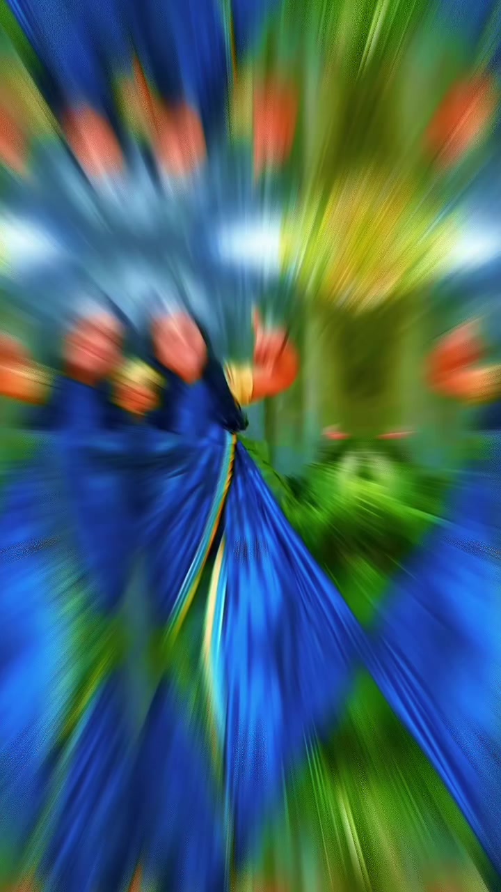 @โค๏ธ๐คโค๏ธ๐๐๐๐๐๐๐๐๐คโค๏ธ