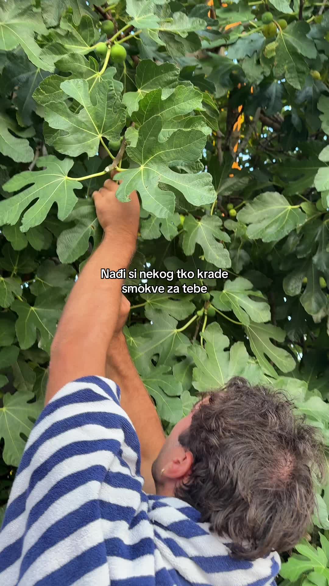 @Dora Delić