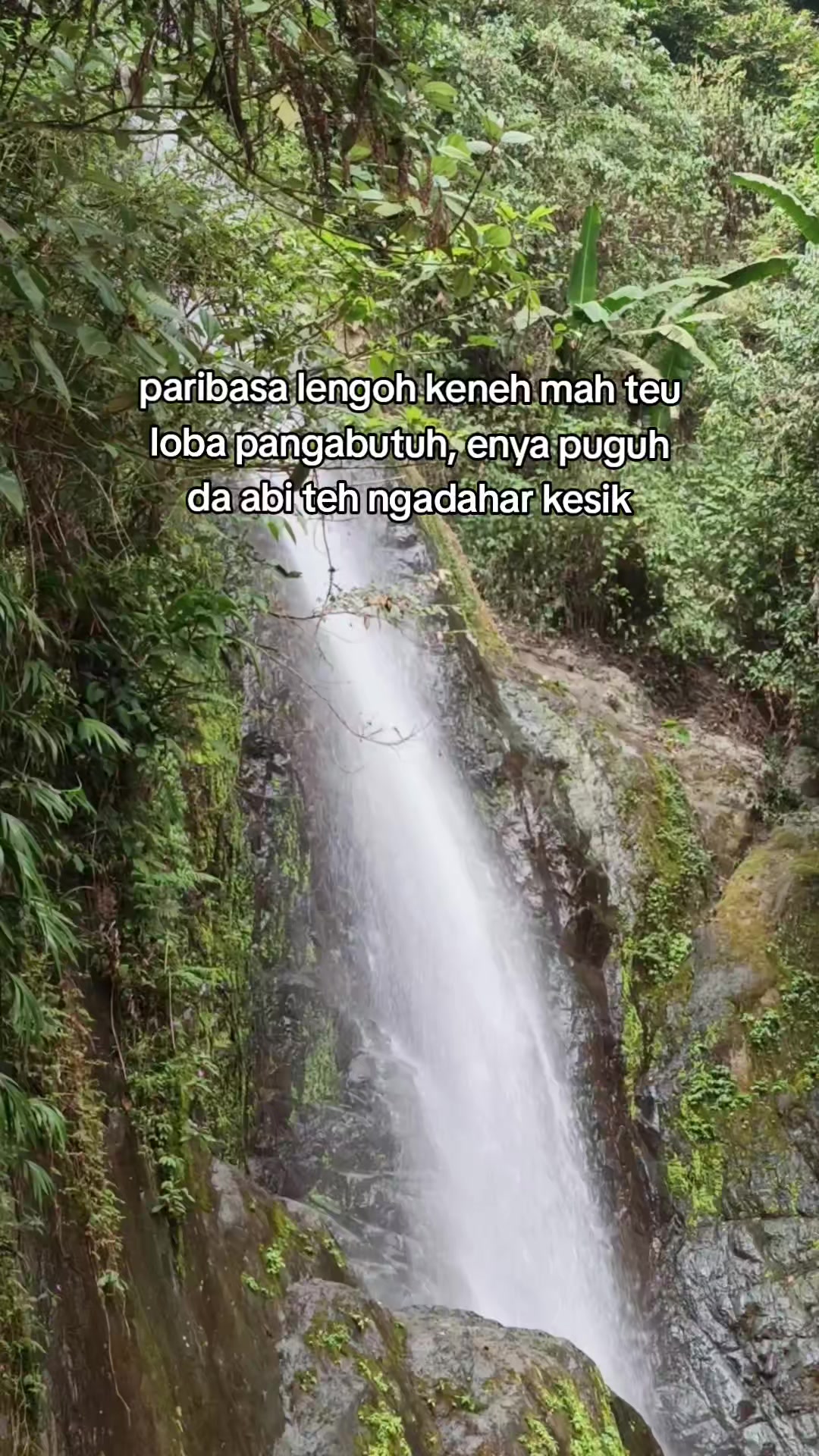 @🌻